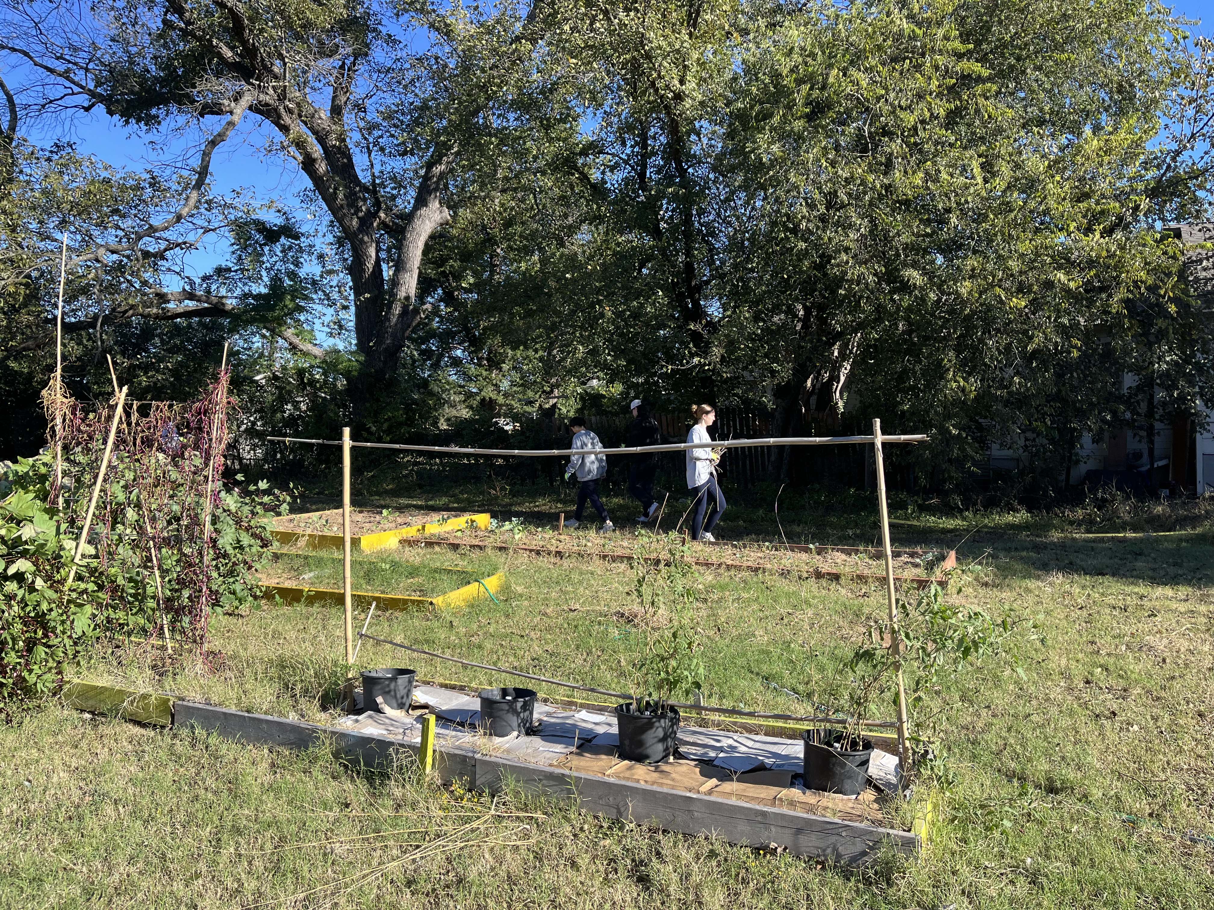Raised beds constructed by Dr. Anne Jeffrey's students