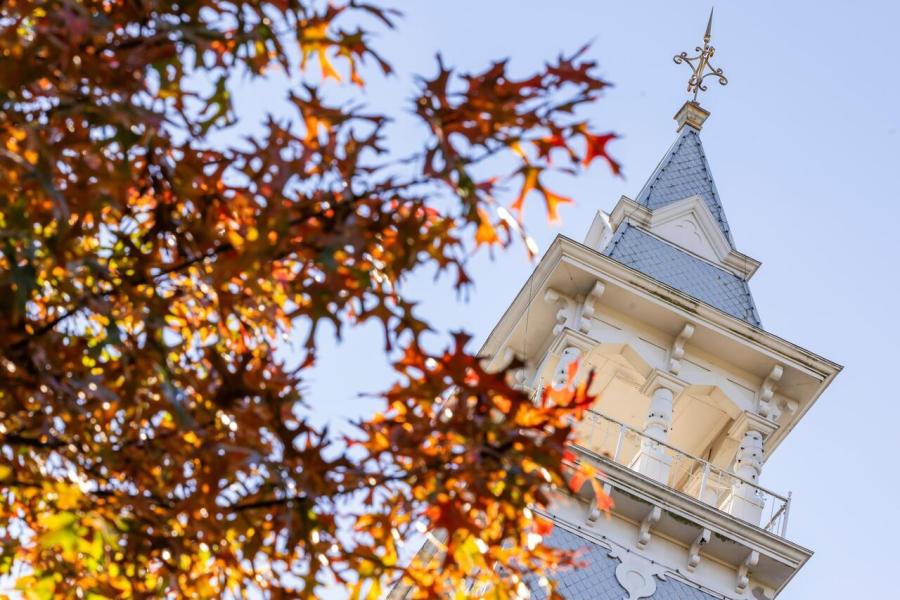 Fall leaves in front of the Burleson spire