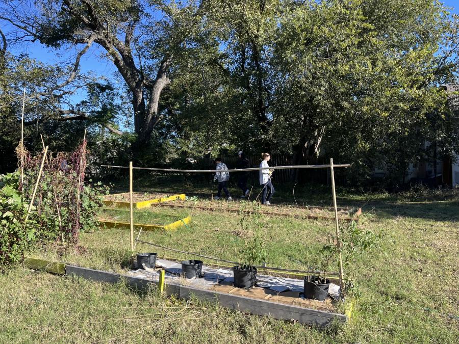 Raised beds constructed by Anne Jeffrey's students